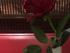 -俏江南(中山路先天下广场店)