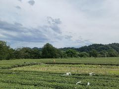 -婺源月亮湾