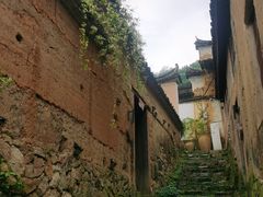 -杨家堂村