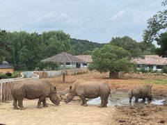 -沈阳森林动物园