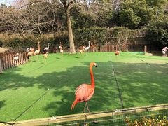 -上海野生动物园