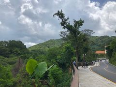 -深圳仙湖植物园-停车场