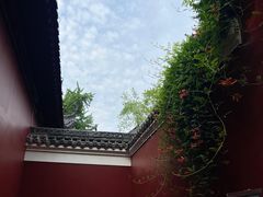 -长春观