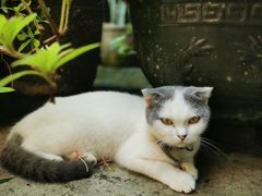 -老屋咖啡