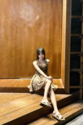 -IDOL-PLUS