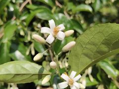 -宁波浙东大竹海景区