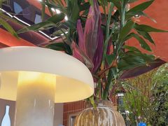 -韩一品韩国料理(柏庐南路店)