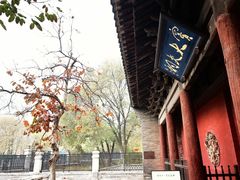 -窦大夫祠