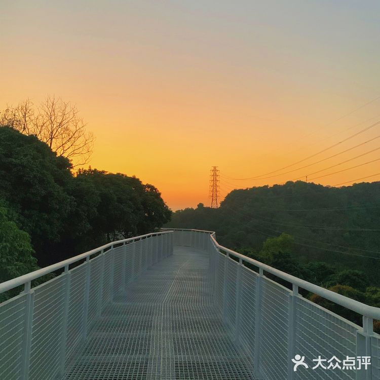 深圳网红桥～白桥