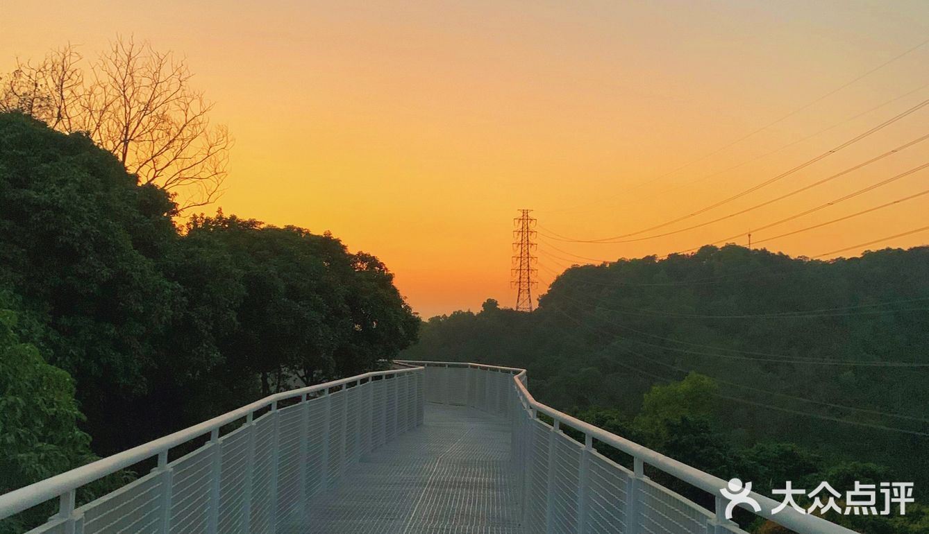 深圳网红桥～白桥