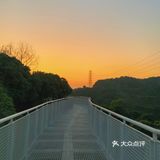 深圳网红桥～白桥