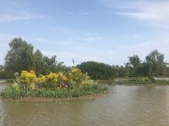-大湾区中央湿地公园