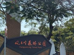 -风云岭森林公园
