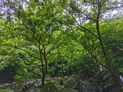 -白云源风景区