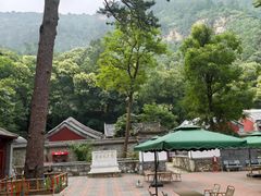 -北京上方山国家森林公园