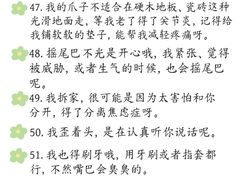 -猫猫幼稚园·撸猫·桌游·电玩