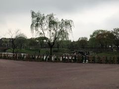 -嘉北郊野公园