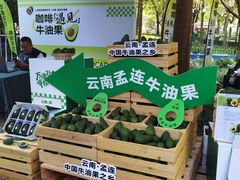 -陆家嘴中心绿地