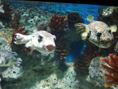 -福州罗源湾海洋世界旅游区