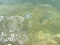 -泊石湾海滨浴场