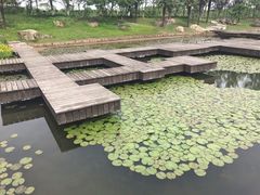 -上海鲜花港