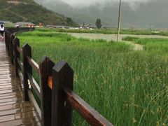 -泸沽湖国家级风景名胜区走婚桥