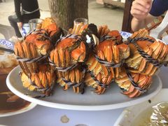 -乡乐园蟹庄·阳澄湖农家乐