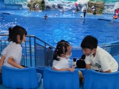 -多彩贵州城极地海洋世界