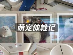 -御宝贝24h宠物医院·转诊中心·CT核磁血透中心(厦门总院)