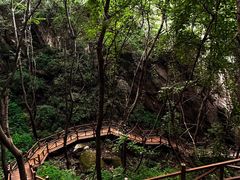 -大岭沟猕猴桃谷风景区