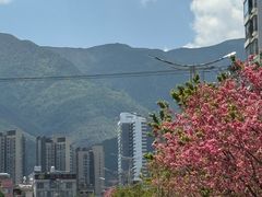 -山河屯铁锅炖(哈西站店)