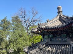 -香山公园