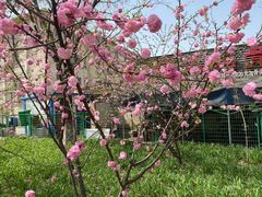 -邻大妈骨头锅(彩虹桥店)