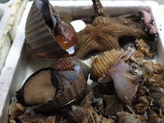 -外伶仃岛海鲜市场