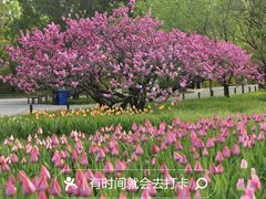 -国家植物园
