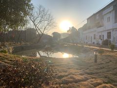 -千年银杏谷文化旅游区