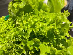 -尚品火锅(正阳路店)