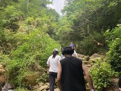 -莫干山风景区