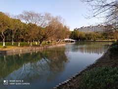 -中央公园(苏州工业园区)