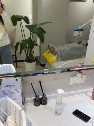 -洗脸猫·洗脸吧