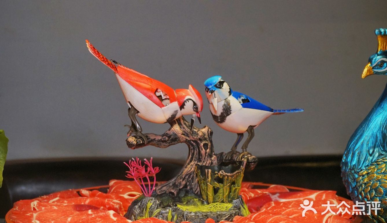 大口炫肉的过瘾四宫格|鸭血豆腐|扯面随便吃