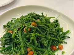 凉拌丝瓜尖-金三杯酒家(泉城路店)