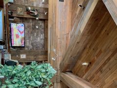 -一棵树·意大利西餐厅One Tree(新城店)
