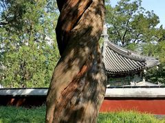 -香山公园
