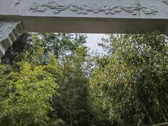-竹子庵公园