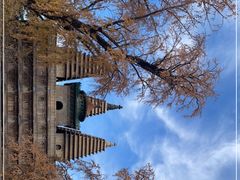 -北京石刻艺术博物馆(五塔寺)