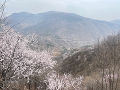 -妙峰山风景名胜区