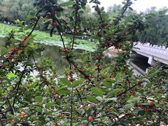 -长春市南湖公园