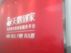 -天鹅到家·保姆月嫂育儿嫂(朝阳店)