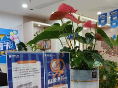 -启辰口腔(南坪店)